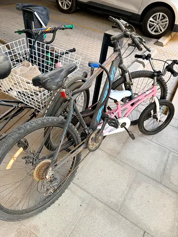 Bike for sale in bad condition