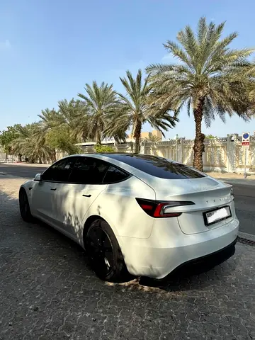 2024 Tesla MODEL 3 照片 4