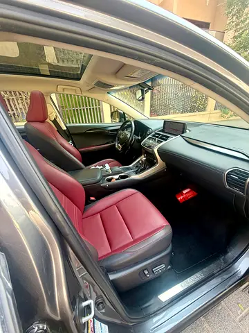 2019 Lexus NX-SERIES 缩略图 11