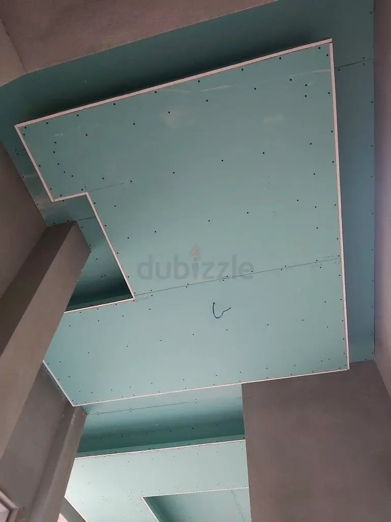 DPV_View_Image_1