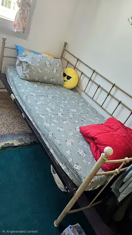 Single metal daybed with mattress - good condition