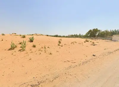 🔥 **Residential Plot for Sale in Mudhif | 2,816 Sq. Ft. | AED 478,720 | 3-Year Payment Plan**