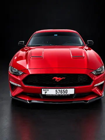 2020 Ford Mustang Ecoboost - Sleek American Spec Performance