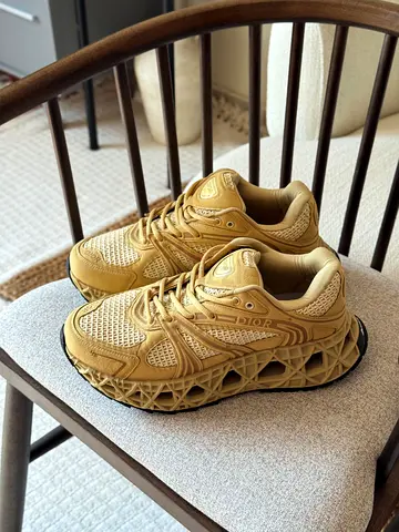Dior shoes for men