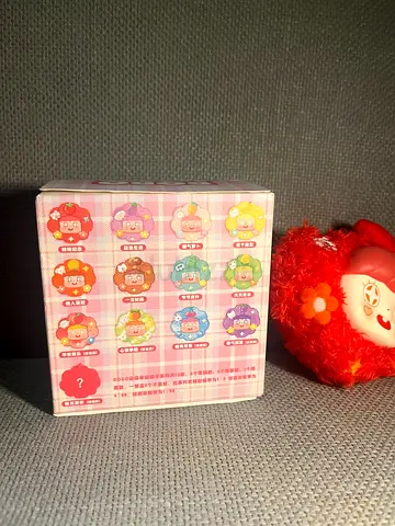 Mystery Blind Box Cute Character Collectible Toy (Sealed Box)