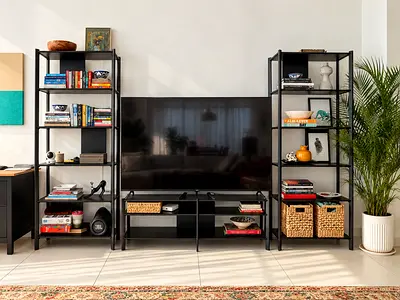 JATTESTA TV console & book shelf set