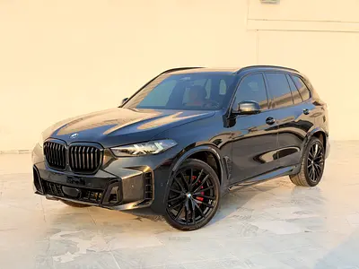 Top Clean BMW X5 sDrive40i