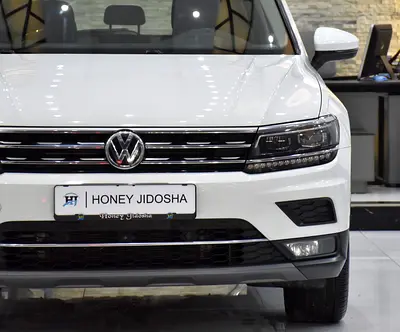 2019 Volkswagen TIGUAN 照片 4