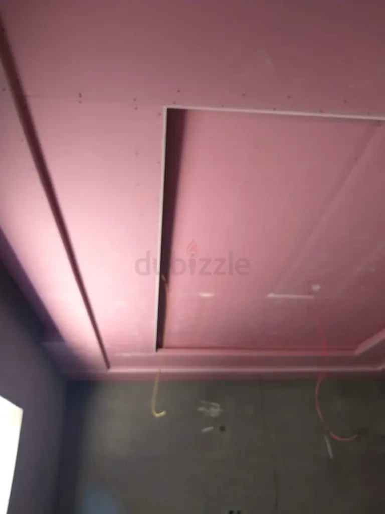 DPV_View_Image_2