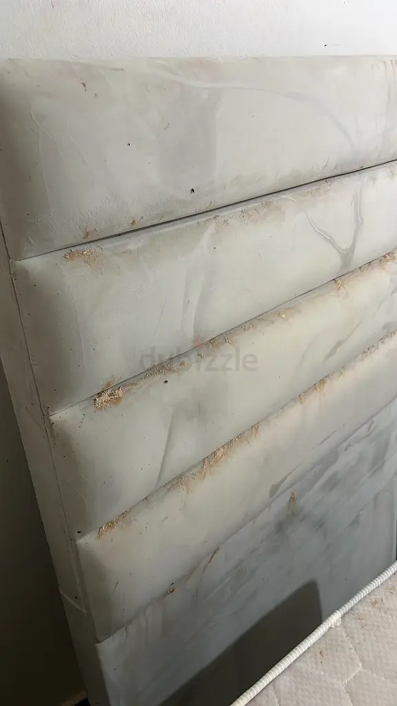 DPV_View_Image_2
