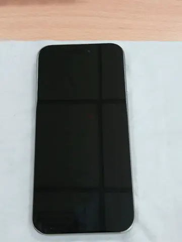 iPhone 16 Pro Max, Silver, 256GB, Box Incl.