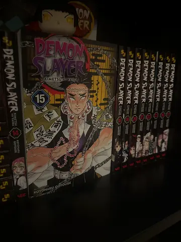 Demon Slayer (Kimetsu no Yaiba) manga volumes set