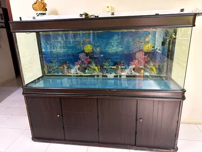 Aquarium
