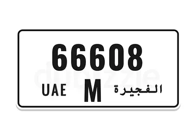 M 66608