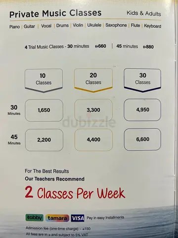 Private Music Classes - Piano, Guitar, Vocal, Drums (Flyer)