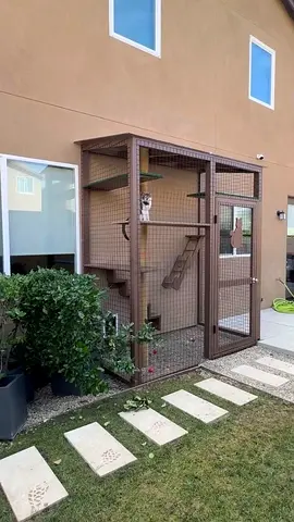 Cat cage