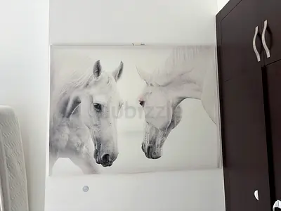 Large Black & White Horse Photography Print on Canvas
