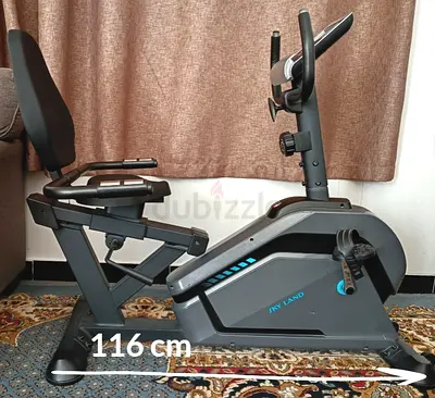 Skyland Recumbent Exercise Bike