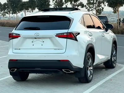 2016 Lexus NX-SERIES 照片 7