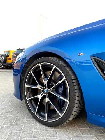 2019 BMW 8-SERIES 缩略图 16
