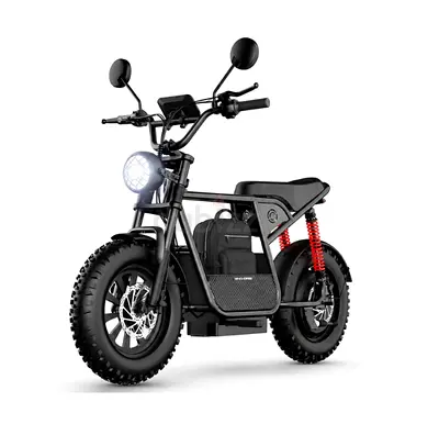 Wind Horse Electric Bike 750W 50KM Range 32KM Speed, D1
