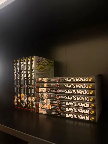 Demon Slayer manga volumes (set of 11) - English editions bought from dubai mall