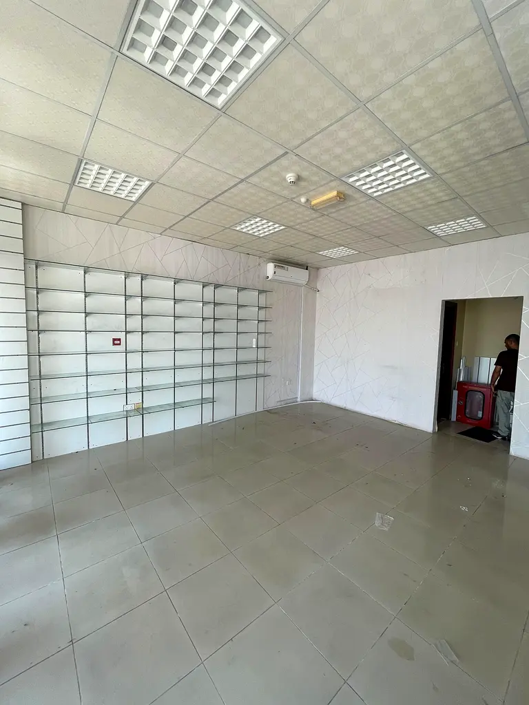 gallery-image