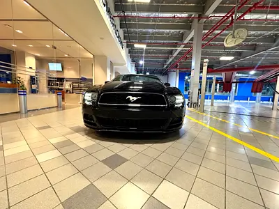 2014 FORD MUSTANG 照片 2