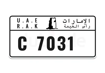 C 7031