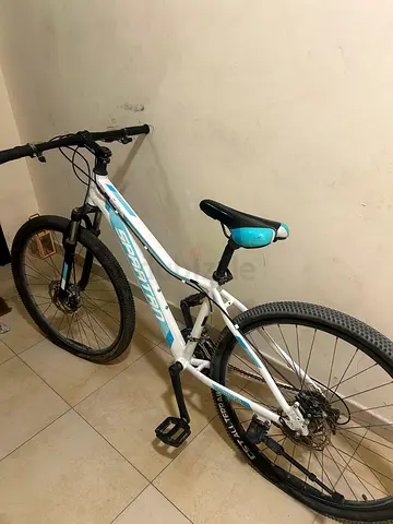 Spartan Bike