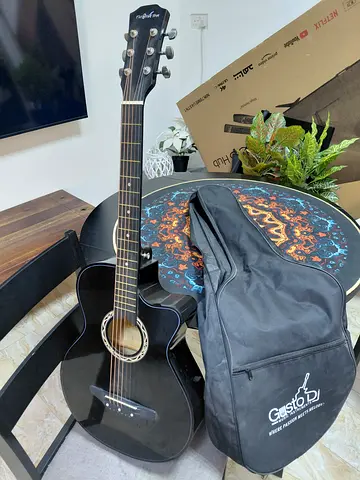 Guitar