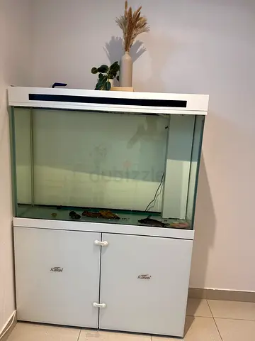 Aqurium
