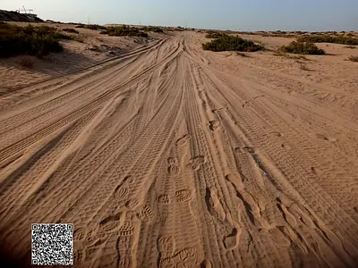 ارض سكني استثماري (G+2)في ام القيوين تملك حر لجميع الجنسيات