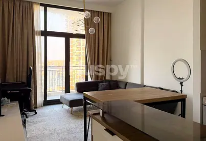 Full Park View | Fully Furnished | Vacant
