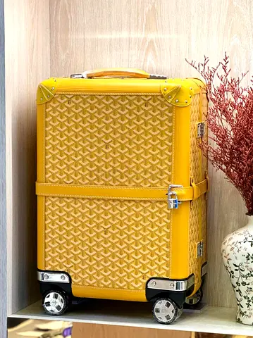 Goyard luggage