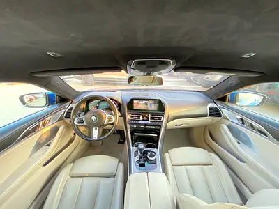 2019 BMW 8-SERIES 缩略图 15