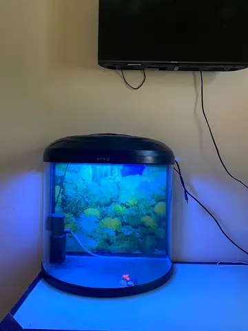 aquarium with LED light and filter - ready to set up for home or shops