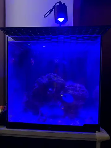 Reef tank for sale | Saltwater tank for sale