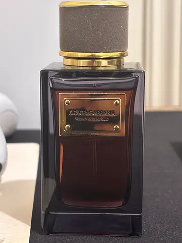 Dolce and gabbana velvet desert
