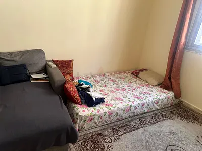 Single mattress with fitted bedsheet and area rug - used