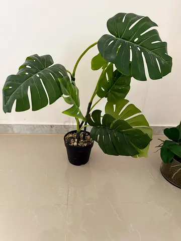 Artificial plant