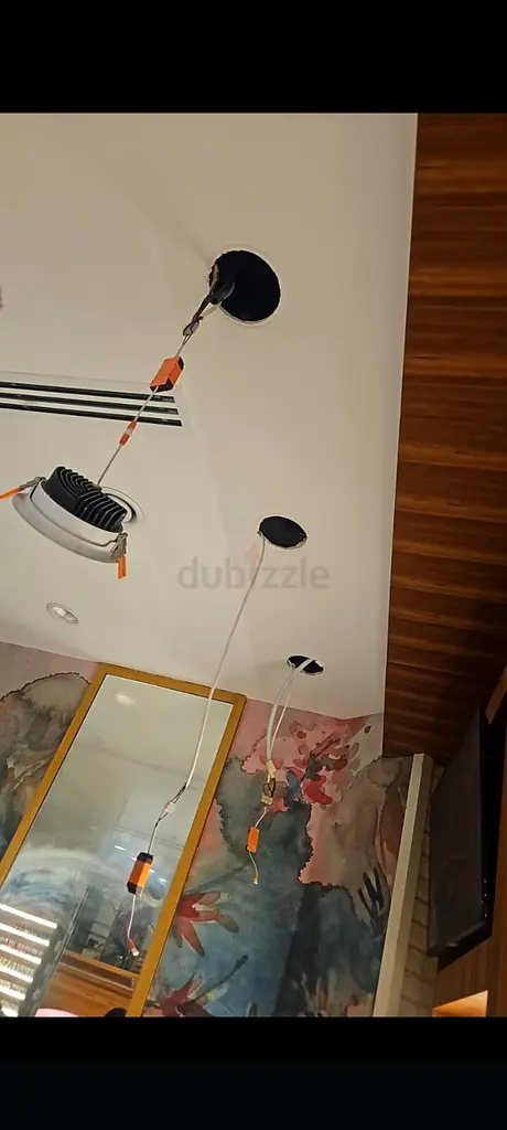 DPV_View_Image_2