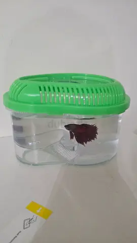 Free stuff. Fish
