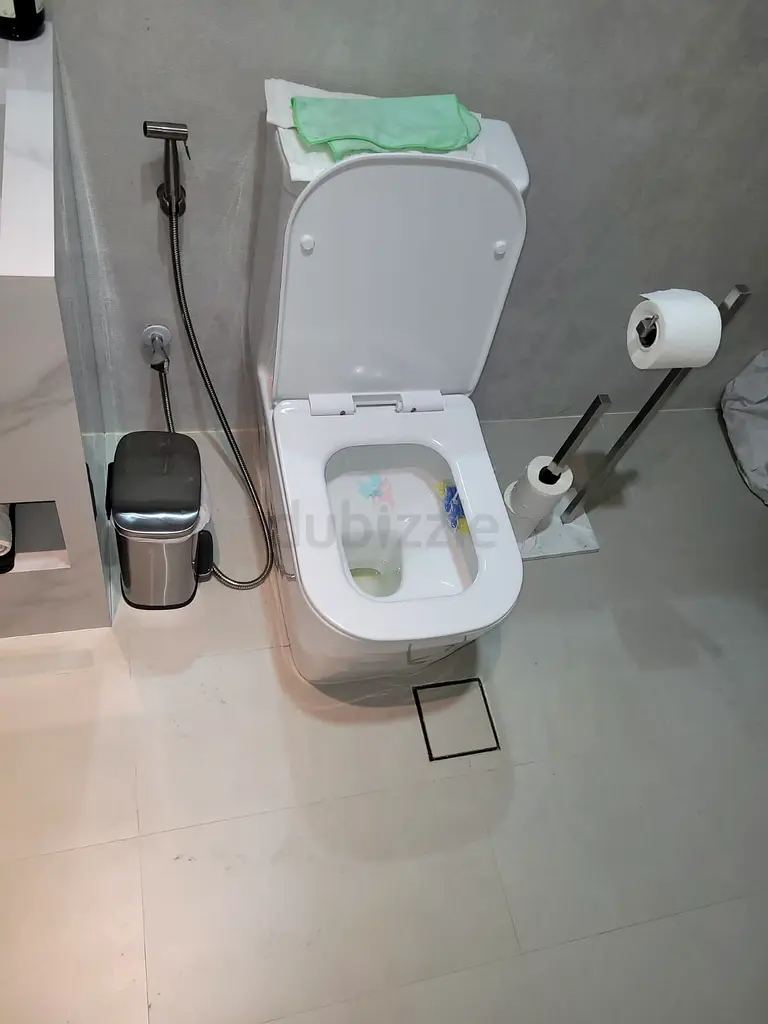 DPV_View_Image_2