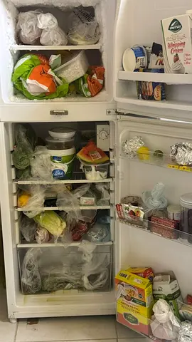 Used Two-Door Refrigerator / Freezer - Good Working Condition.fridge need to fill gas