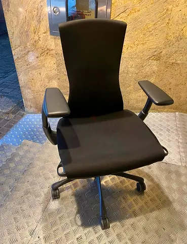 Herman Miller Embody fully loaded Ergonomic Black Office Chair with Adjustable Armrests
