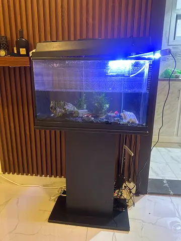 40L Fish Aquarium with Stand, Light and Accessories