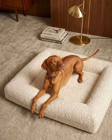 Large Cozy Bouclé Dog Bed — Excellent Condition