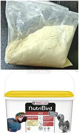 Cockatiel cerelac food bird