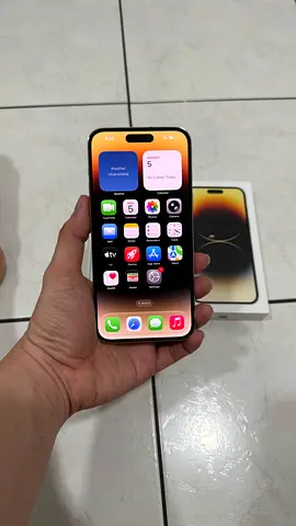 iPhone 14 Pro Max 256gb Gold